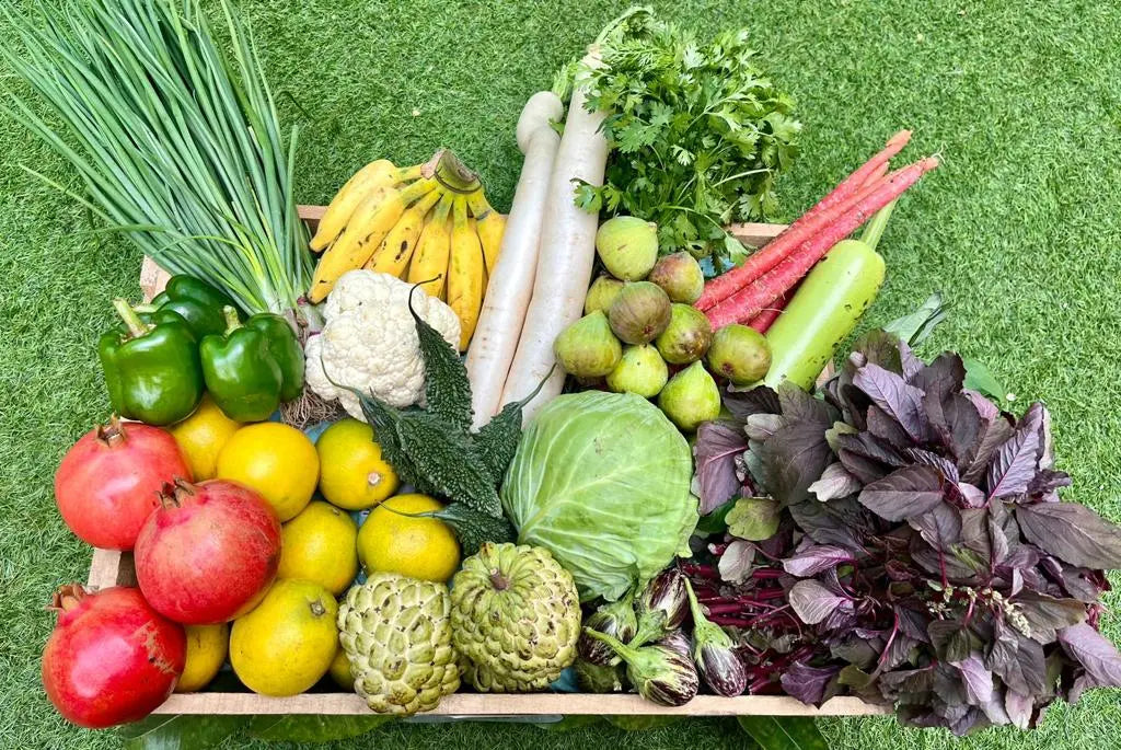 Organic Wellness Beyond Food: Expanding Your Horizons with Natural Products