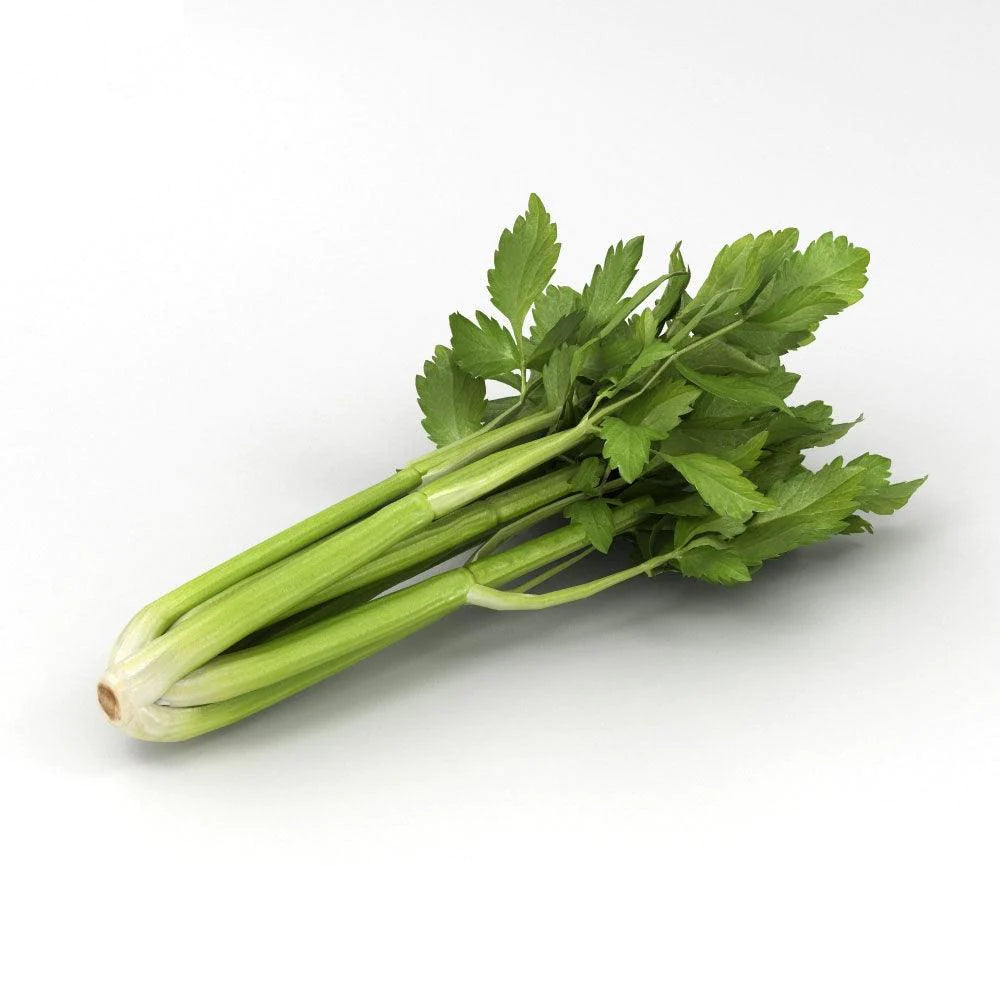 Celery / सेलेरी