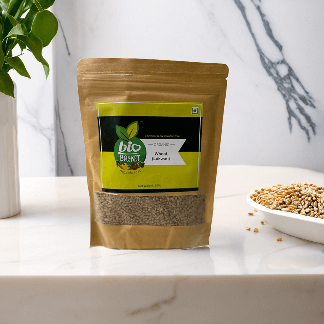 Wheat (Lokwan) / गहू (लोकवन)