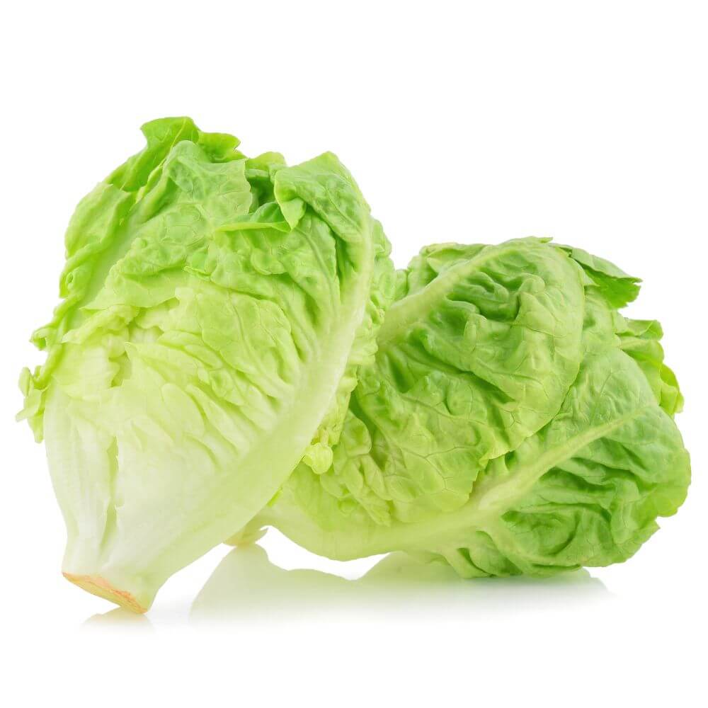 Mix Lettuce Bag / मिक्स लेट्युस बॅग