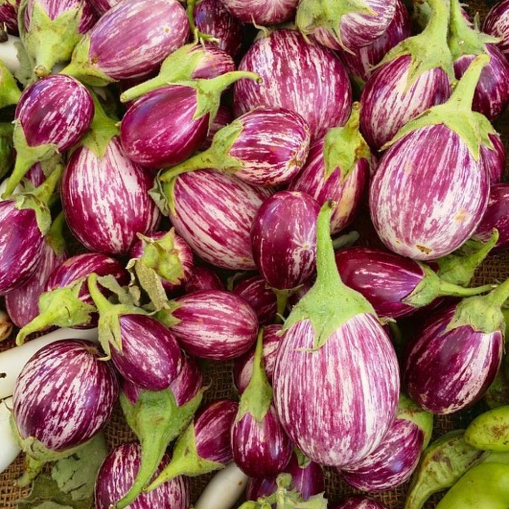 Brinjals (small) / वांगी (छोटी)