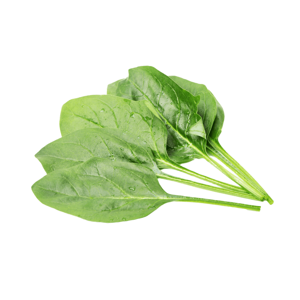 Baby spinach / बेबी पालक