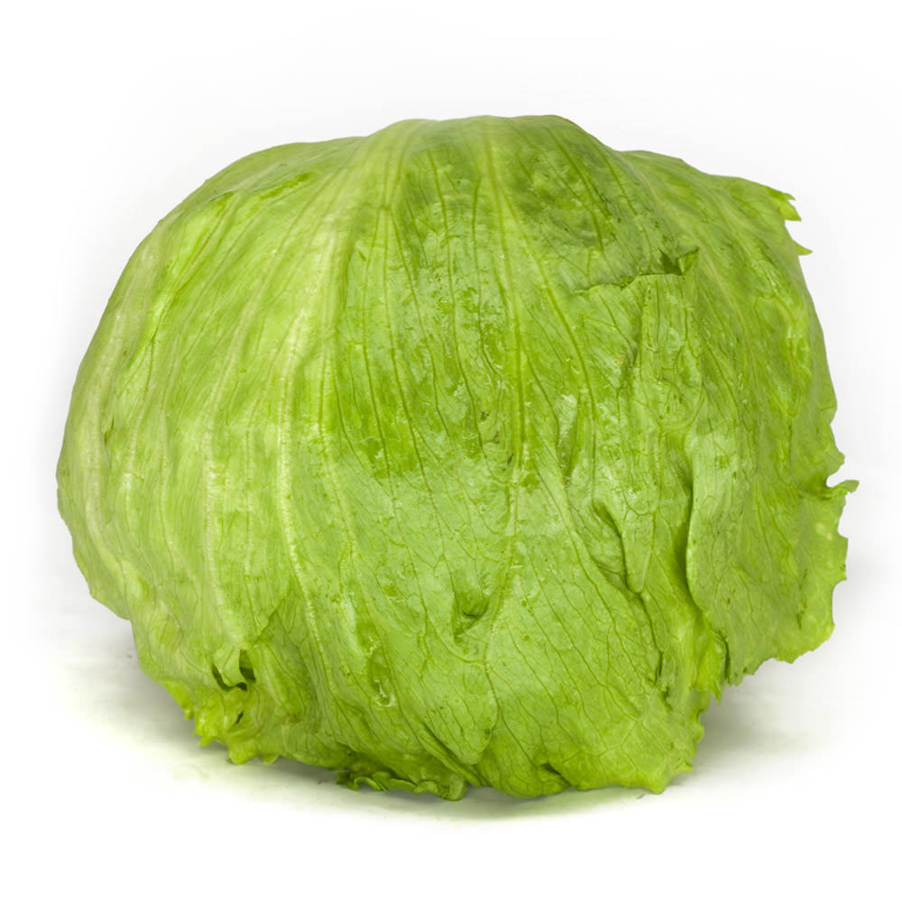 Ice Berg Lettuce / आईस बर्ग लेट्युस