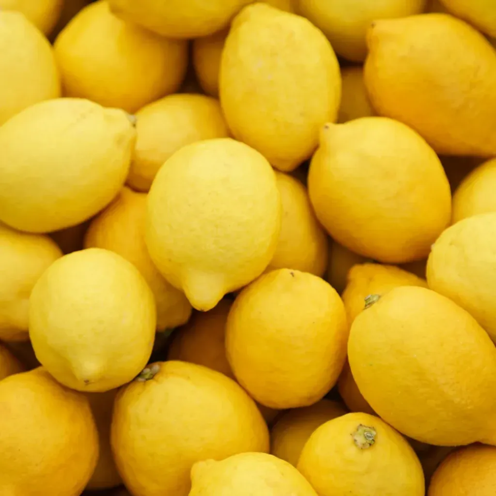 Lemon / लिंबू
