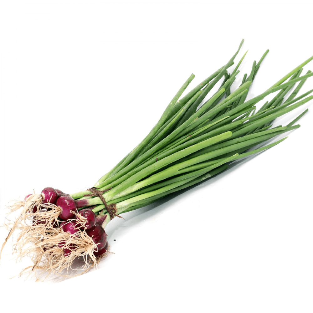 Spring Onion / कांद्याची पात