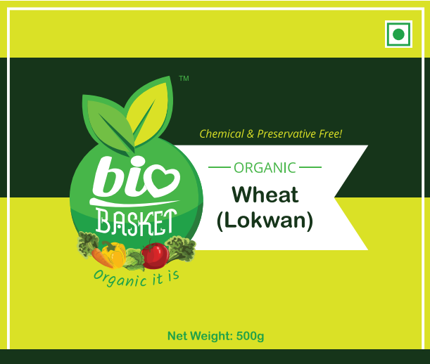 Wheat (Lokwan) / गहू (लोकवन)