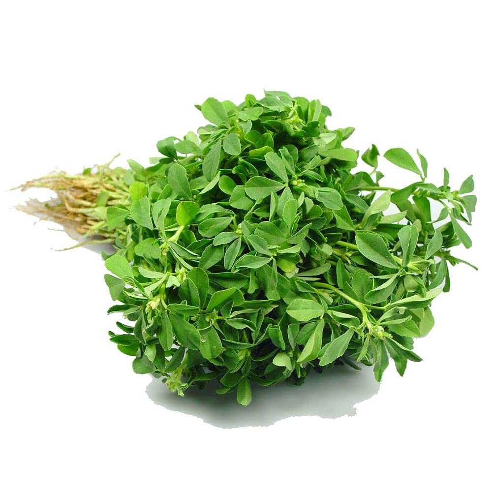 Fenugreek / मेथी