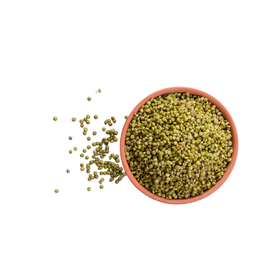 Tender Jowar grains (Hurda) / हुरडा