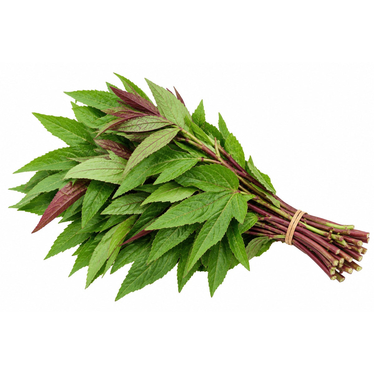 Roselle leaves(Ambadi) / अंबाडी भाजी