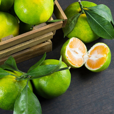 Nagpuri oranges / नागपुरी संत्री