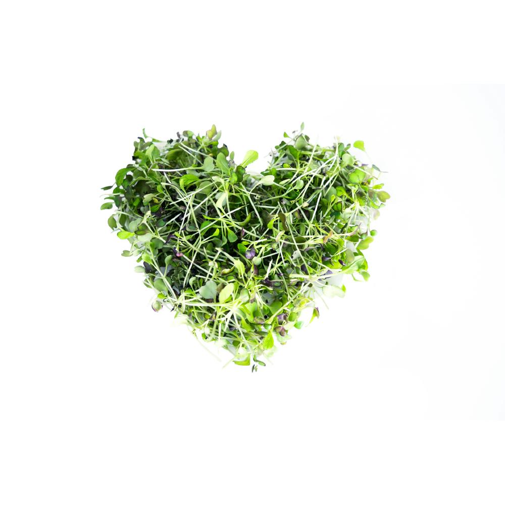 Mix Microgreens (50g) / मिक्स मिक्रोग्रीन्स