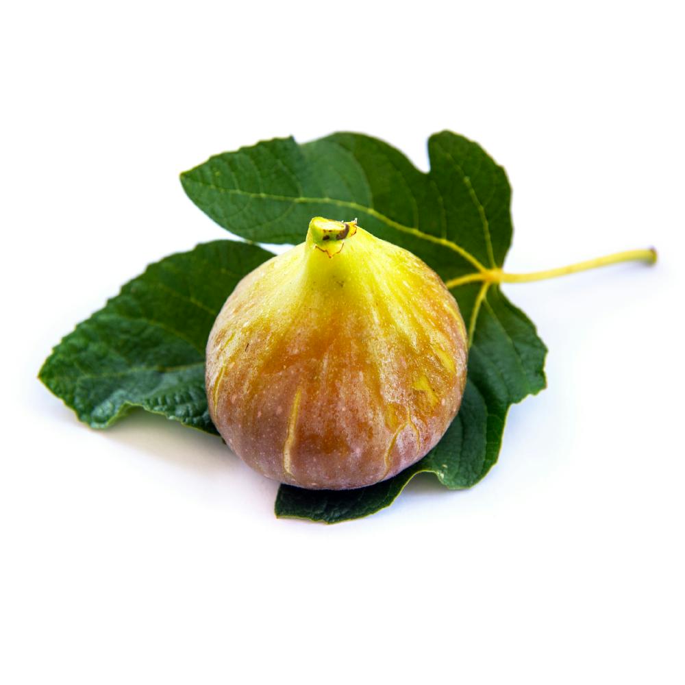 Figs / अंजीर