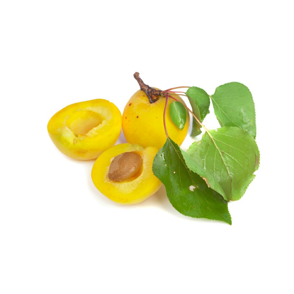 Ladakhi Apricot / लडाखी एप्रिकोट